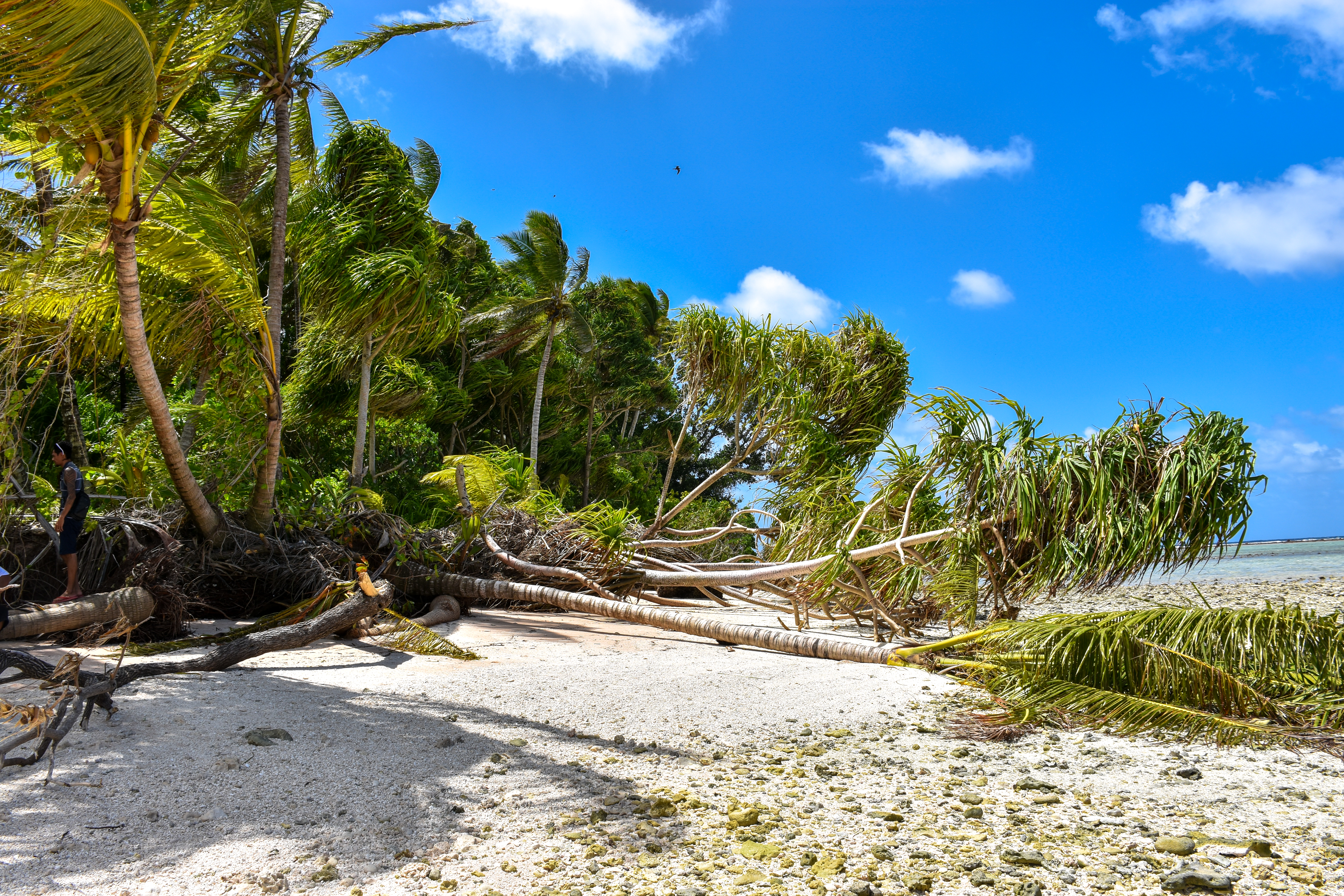 Impact of Climate Change in Fualefeke Islet, Funafuti Island. 