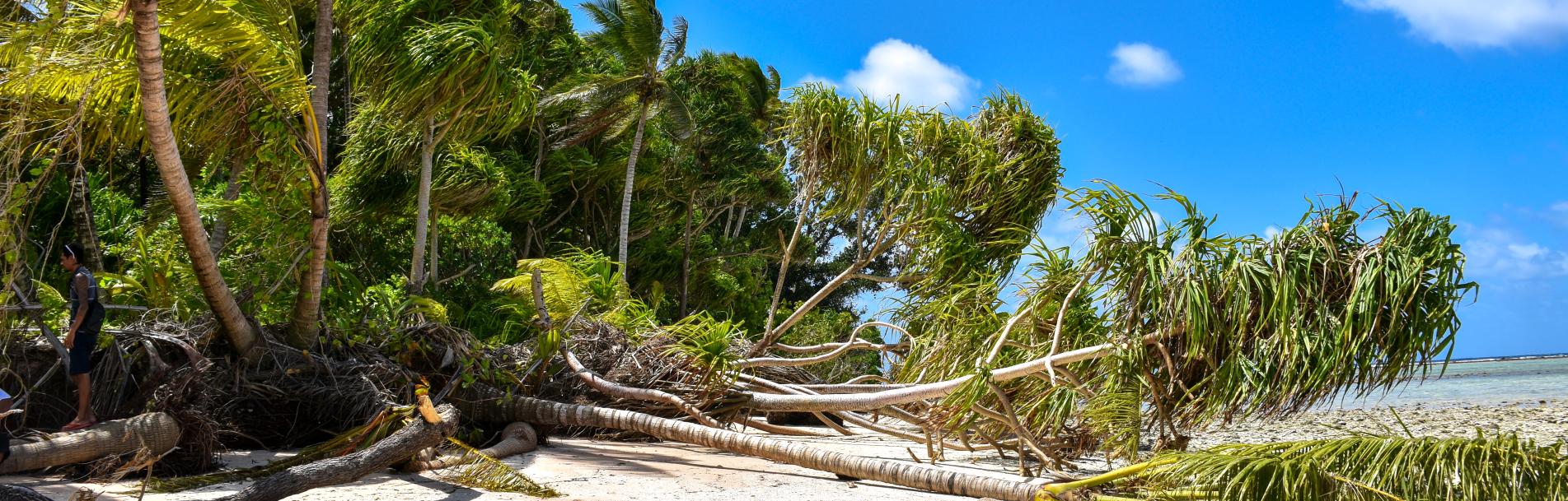 Impact of Climate Change in Fualefeke Islet, Funafuti Island. 